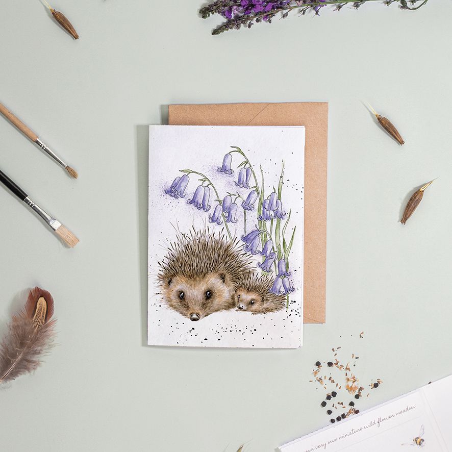 Love & Hedgehugs, Hedgehog - seed card