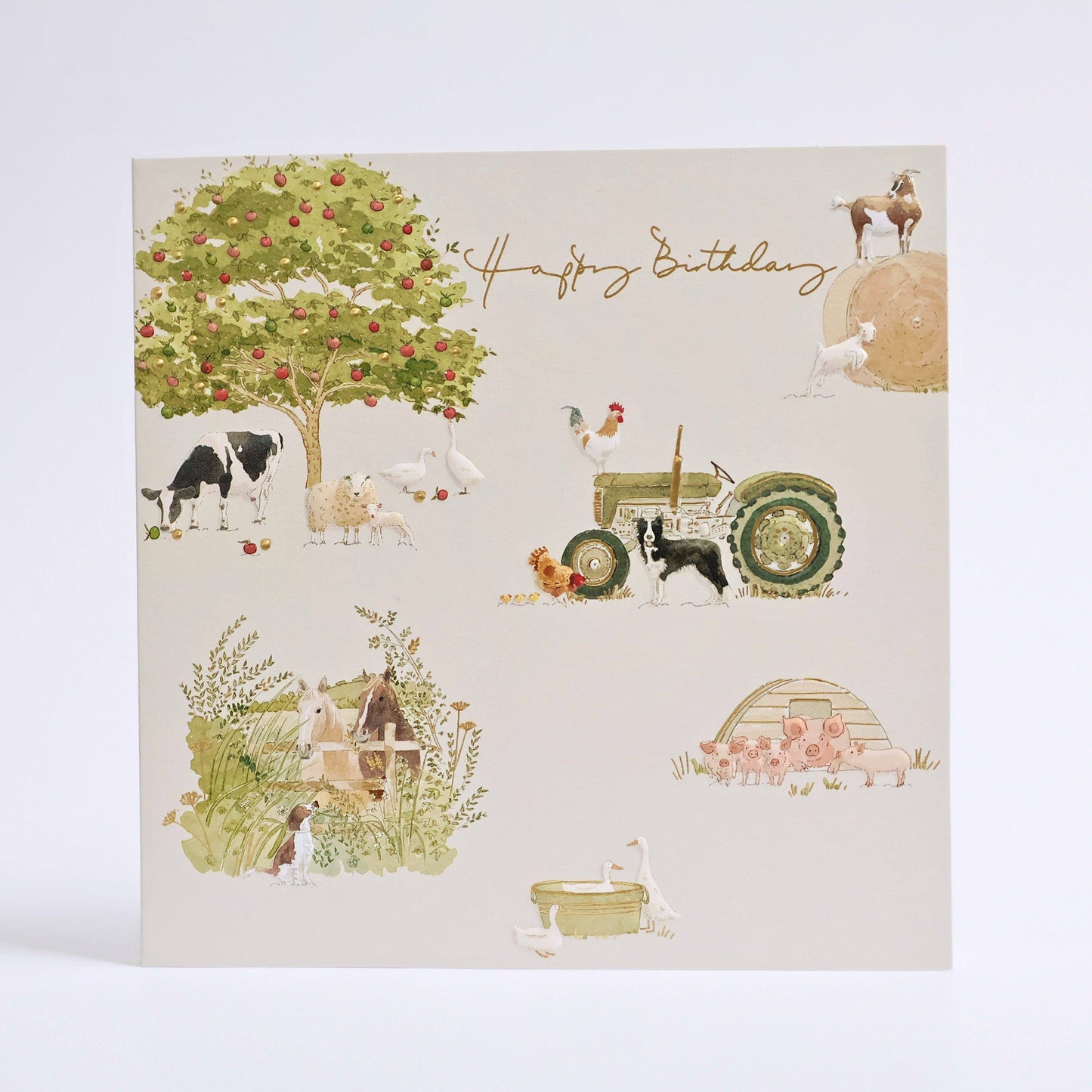 Farm Yard Sophie Allport Birthday Card for Her Animals