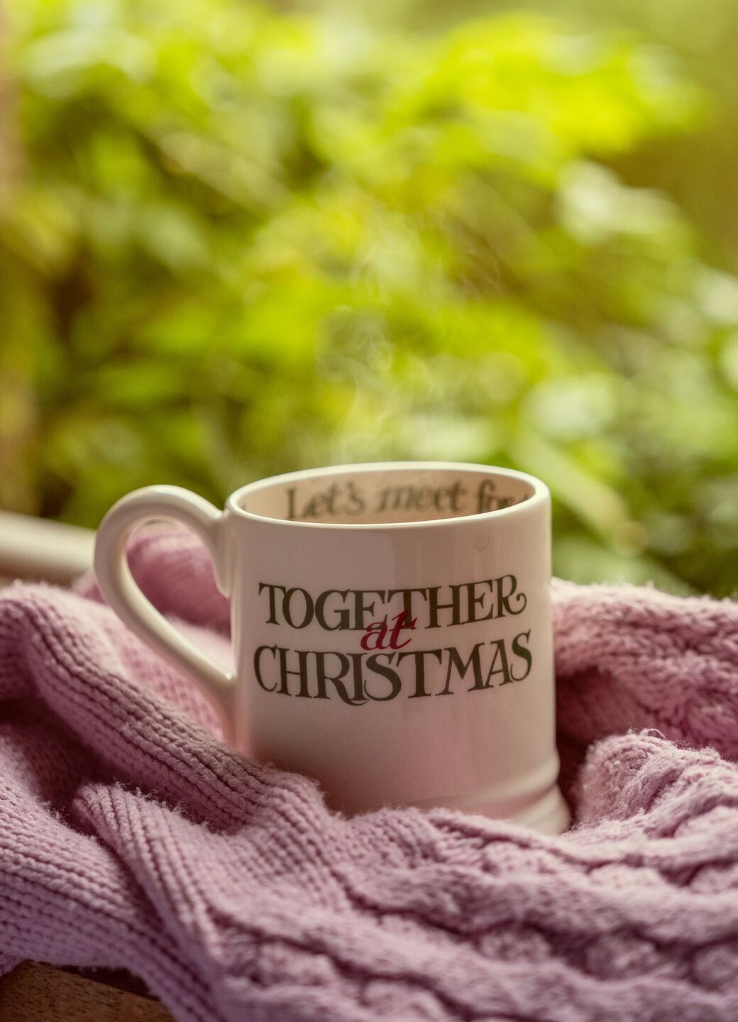 Christmas Toast Best of Friends half pint mug - Emma Bridgewater