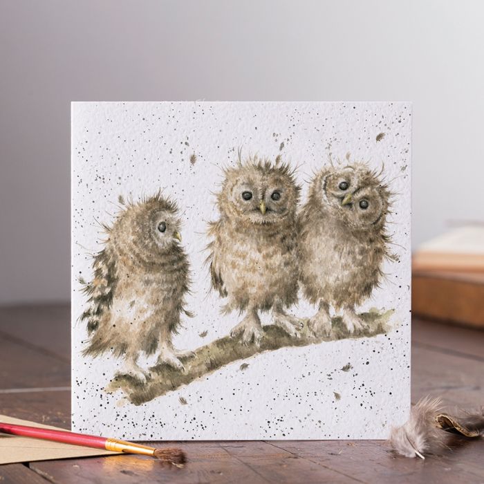 Owls “You first” card - Wrendale