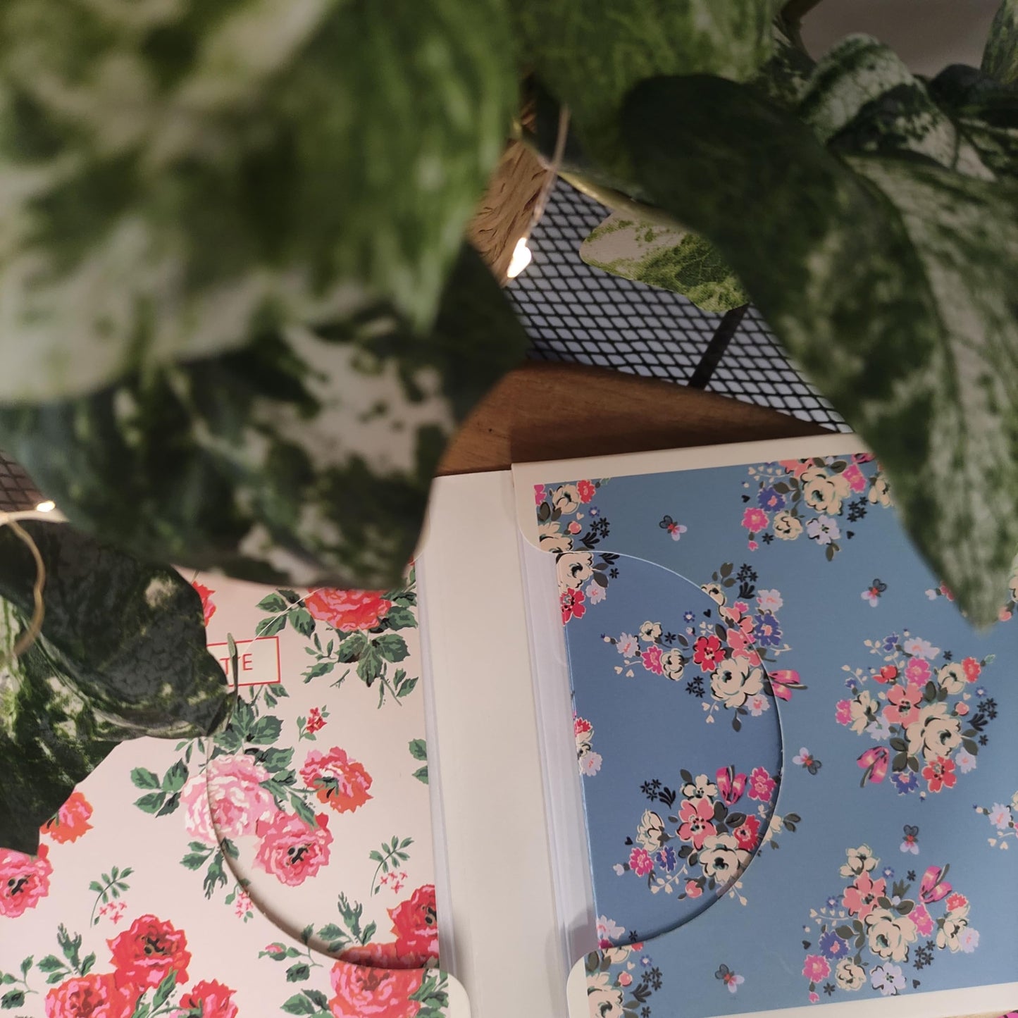 Cath Kidston 10 notecards & envelopes