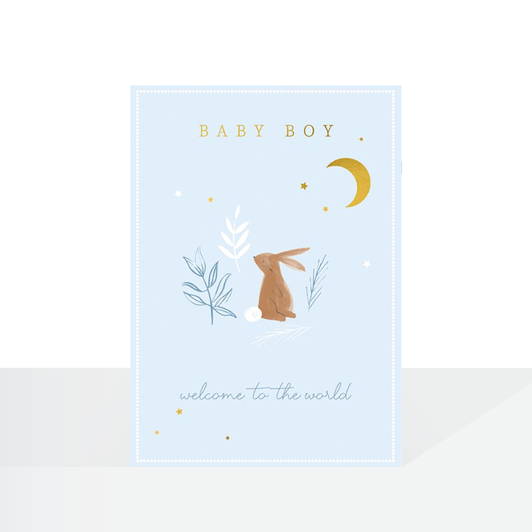 Baby boy bunny card