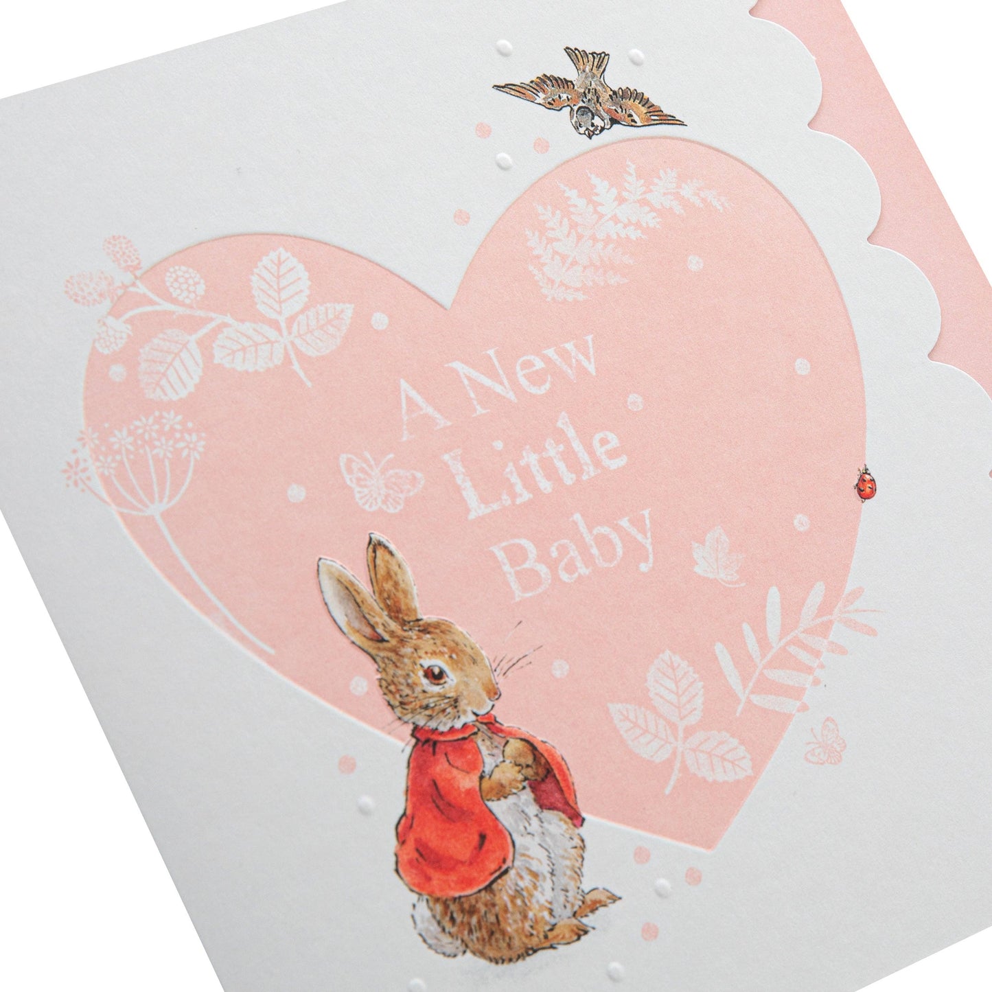 New Baby Girl Card - Beatrix Potter Peter Rabbit™ Design