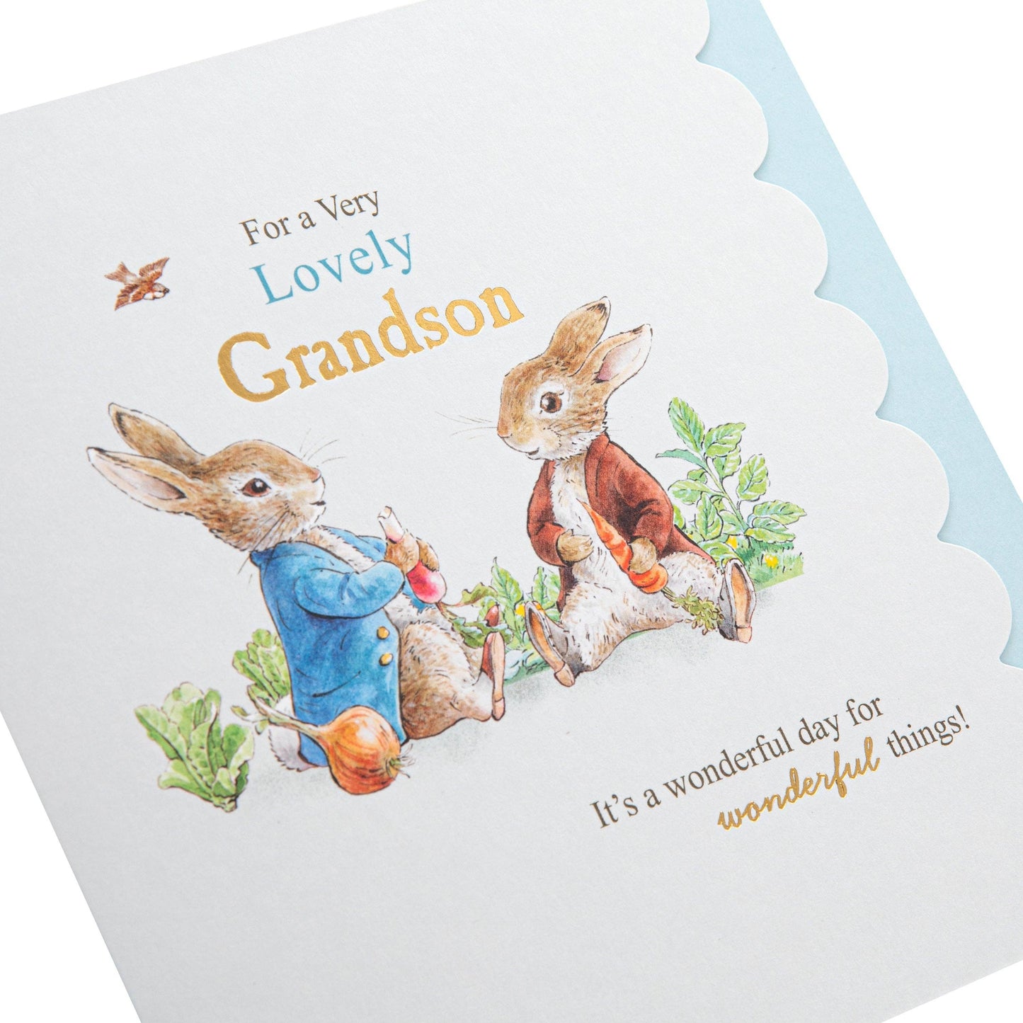 Birthday Card for Grandson - Peter Rabbit Design