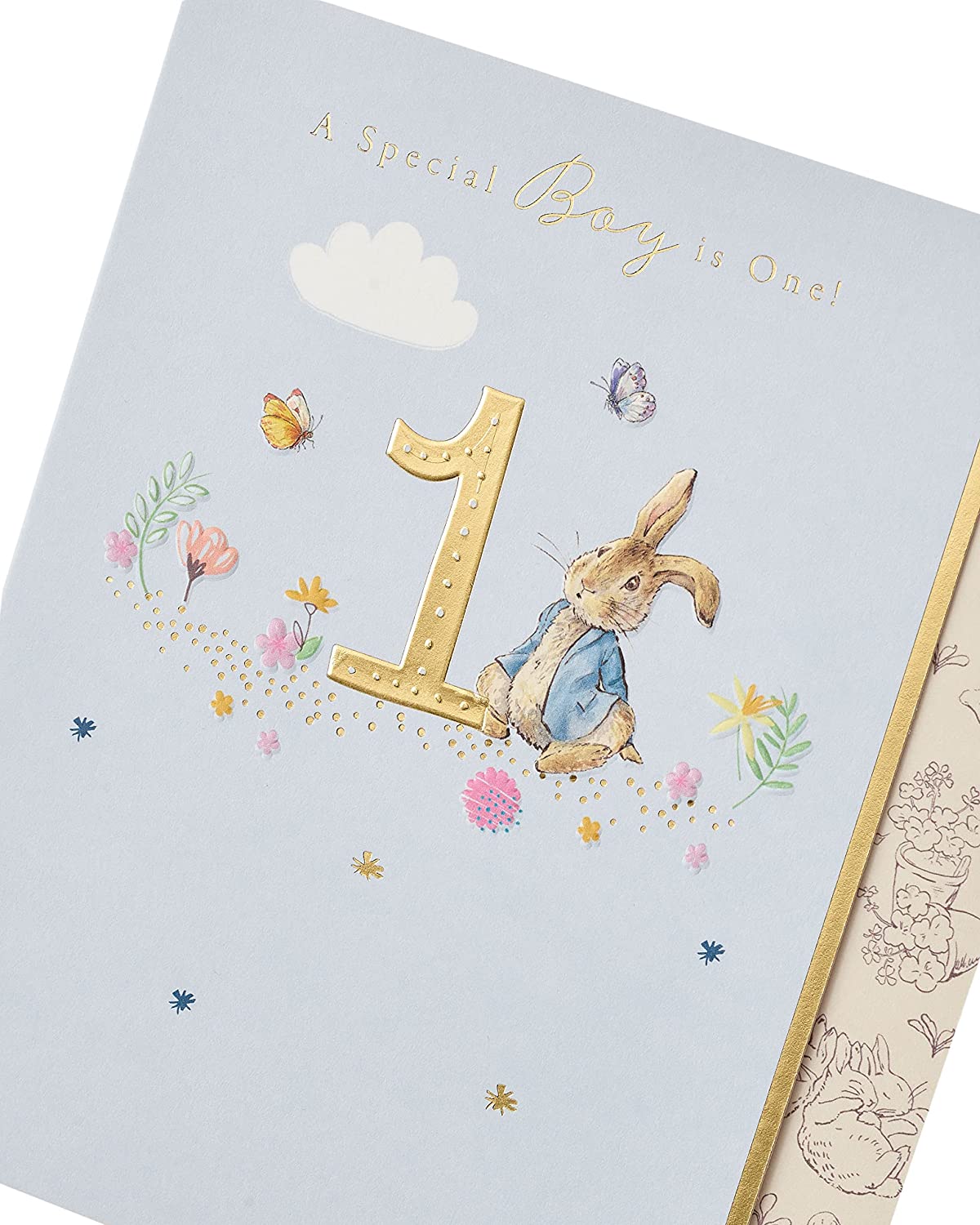 A special boy is 1 - Peter Rabbit card