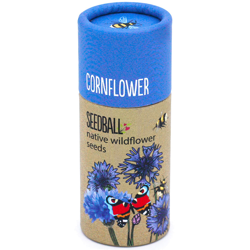 Seedball ~ CORNFLOWER tube -~ native wildflower seeds