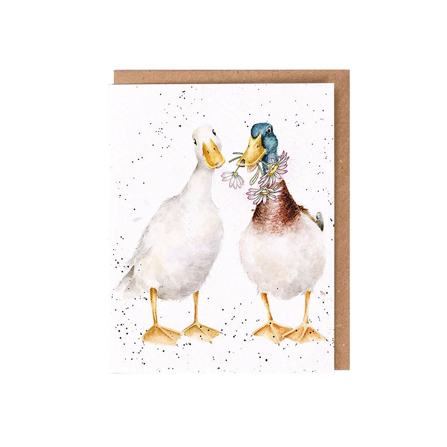 Not a daisy goes by, ducks - seed card