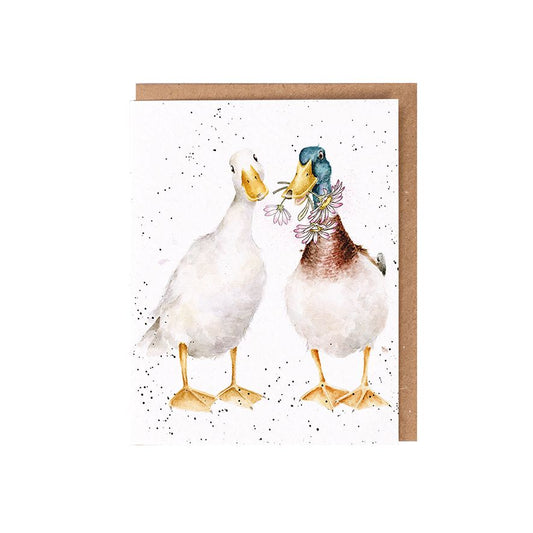 Not a daisy goes by, ducks - seed card