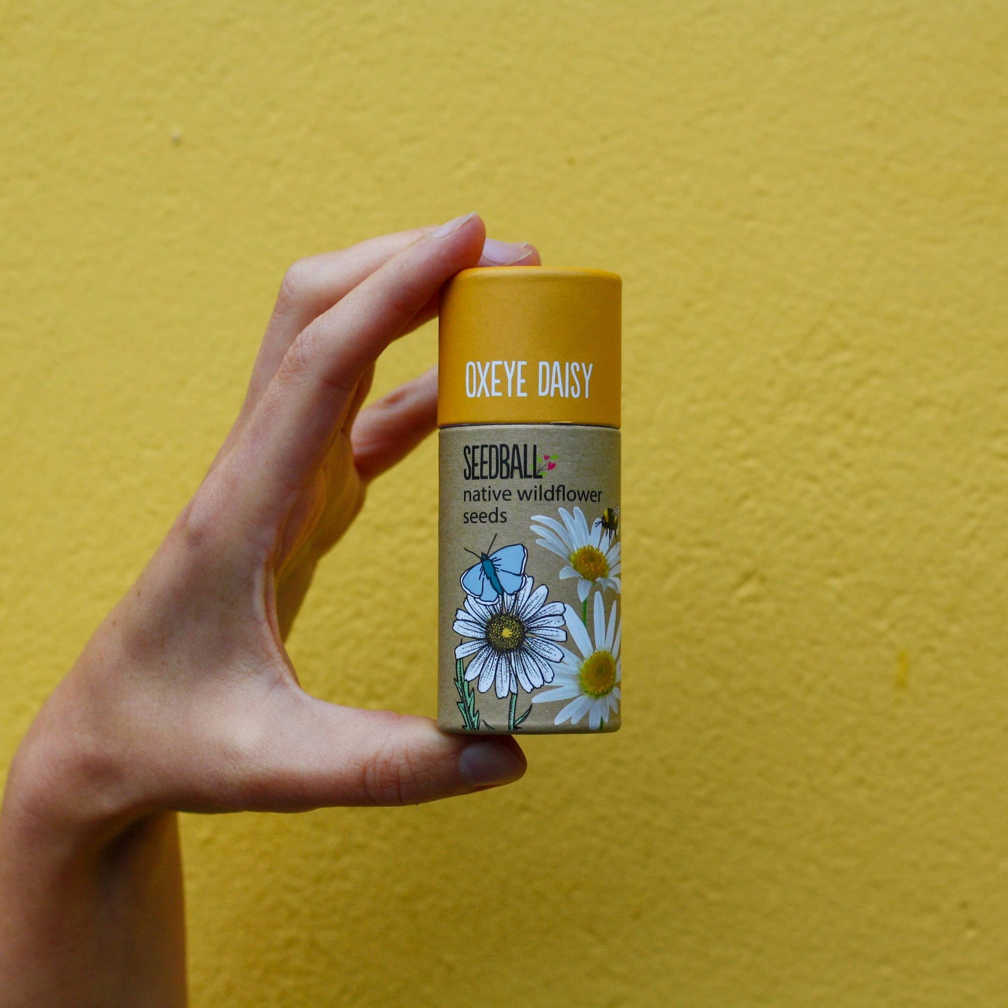 Wildflower Seedball Tubes