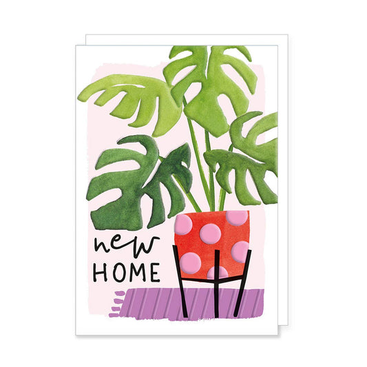 New Home - House Pot Plant