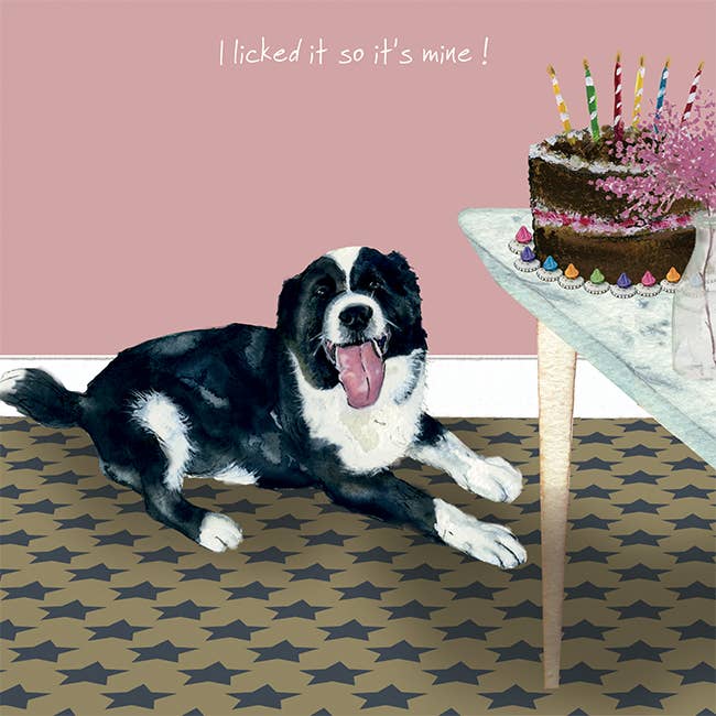 Licked It  Dog Greeting Card