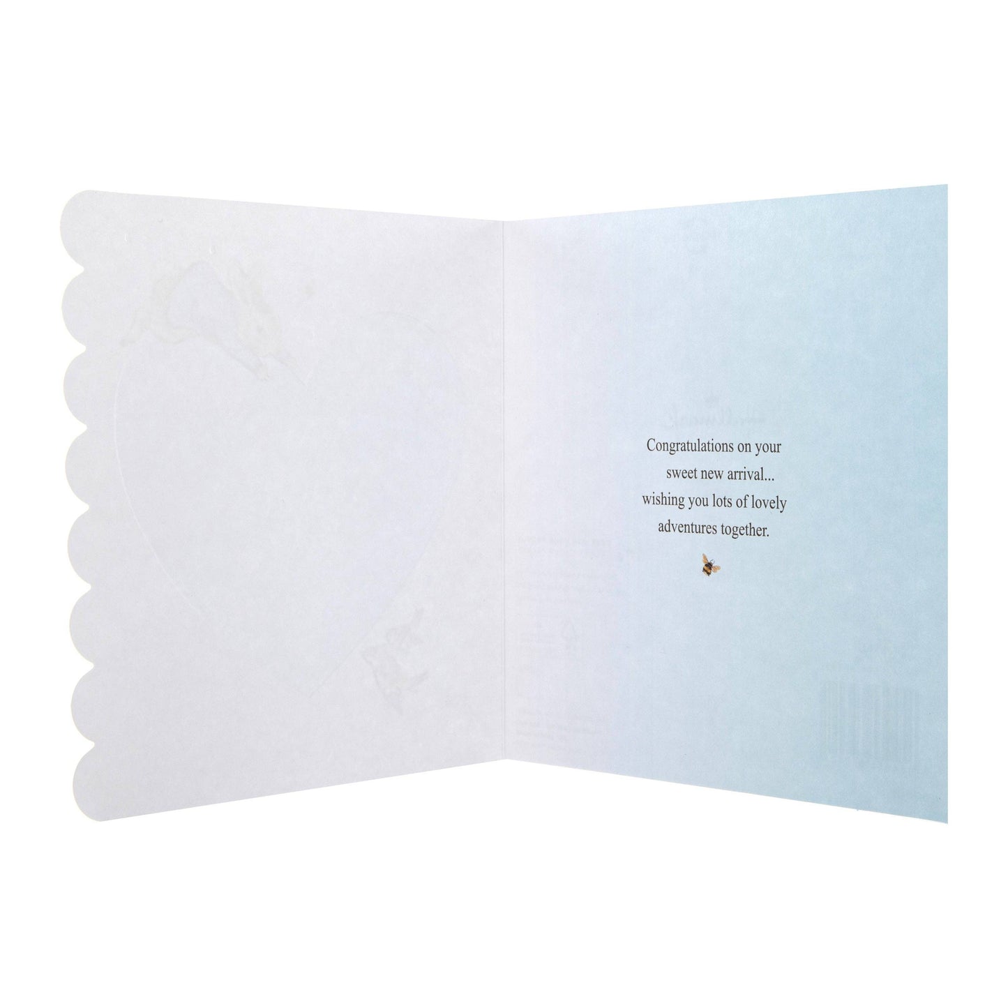 New Baby Boy Card - Beatrix Potter Peter Rabbit™ Design