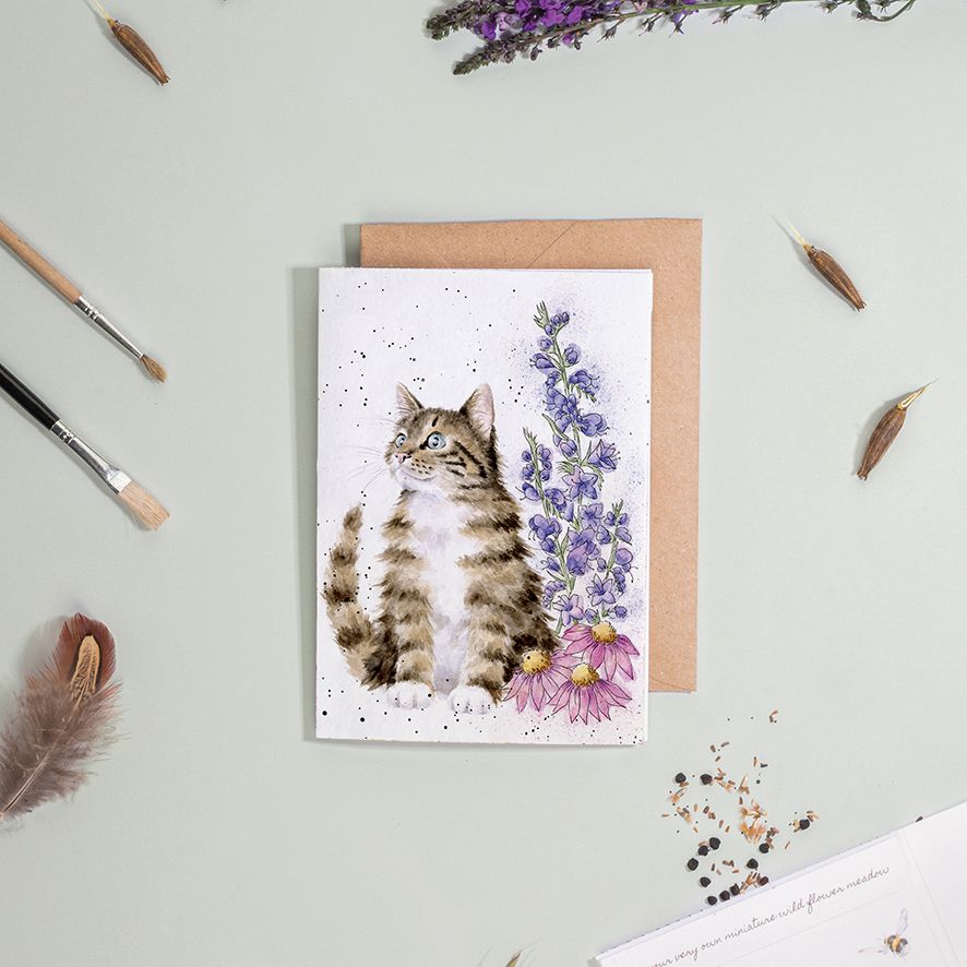 Whiskers & wild flowers, cat - seed card