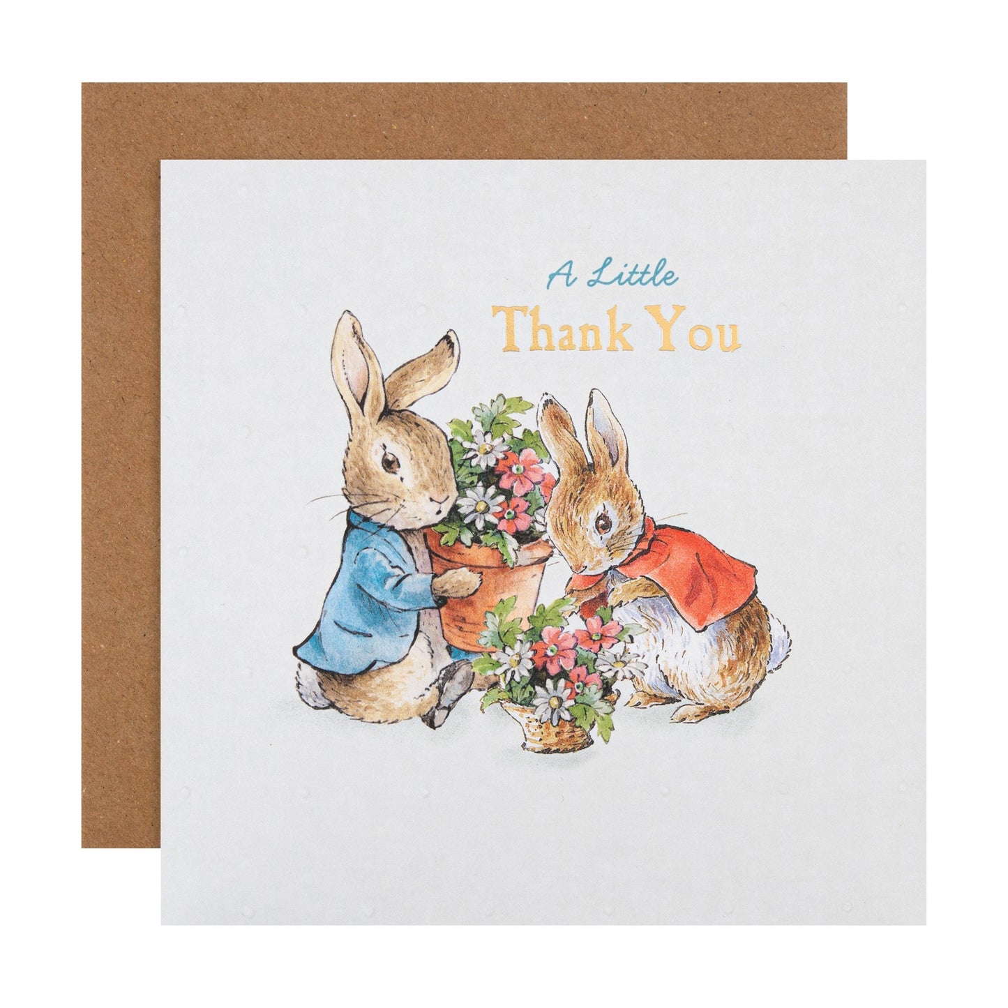 Thank You Card - Beatrix Potter's Peter Rabbit™ Design