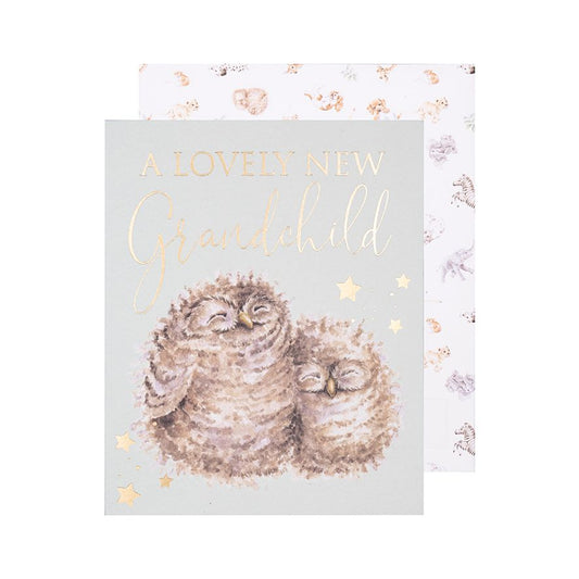 A lovely new Grandchild - owls card