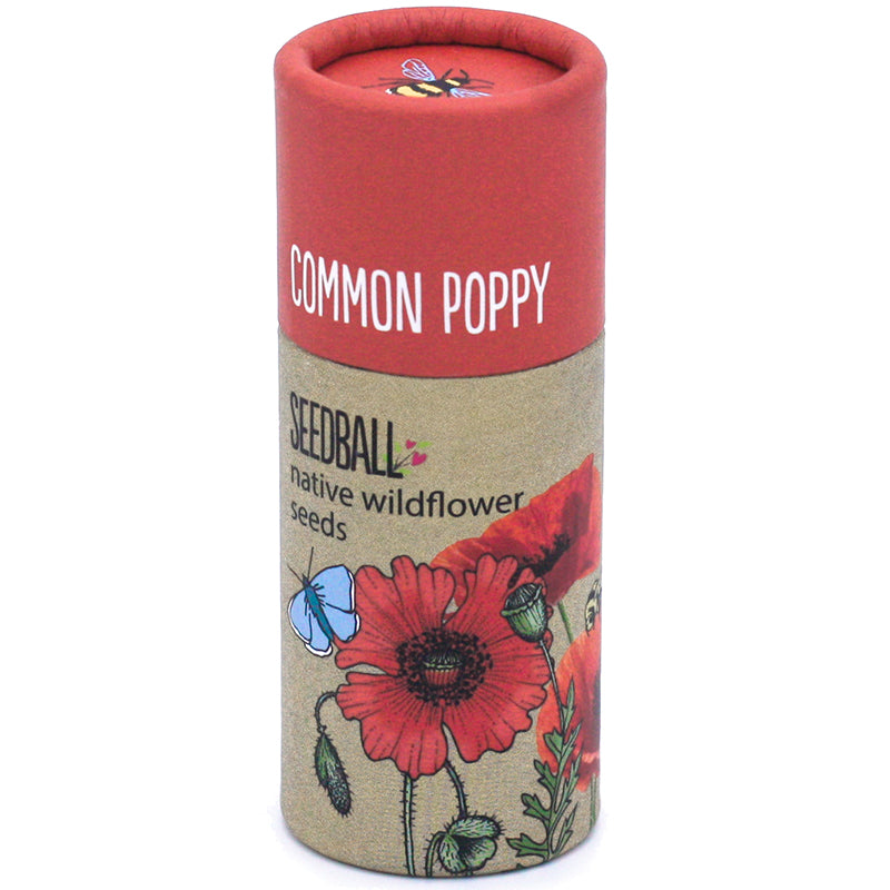 Seedball ~ COMMON POPPY tube ~ native wildflower seeds