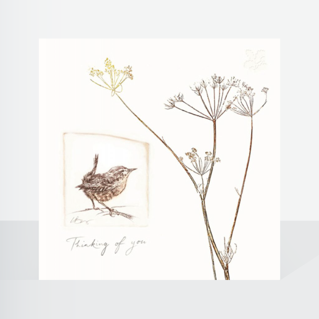 Thinking of you National Trust Habitat - card