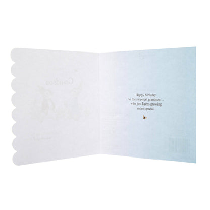 Birthday Card for Grandson - Peter Rabbit Design