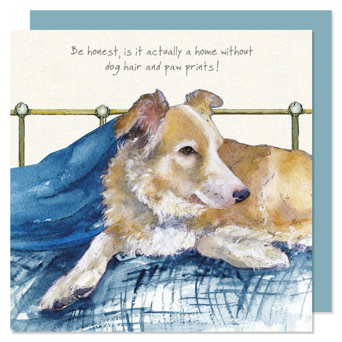 Red & White Border Collie Greeting Card
