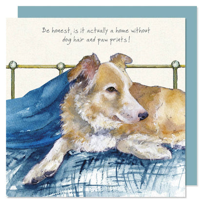 Red & White Border Collie Greeting Card