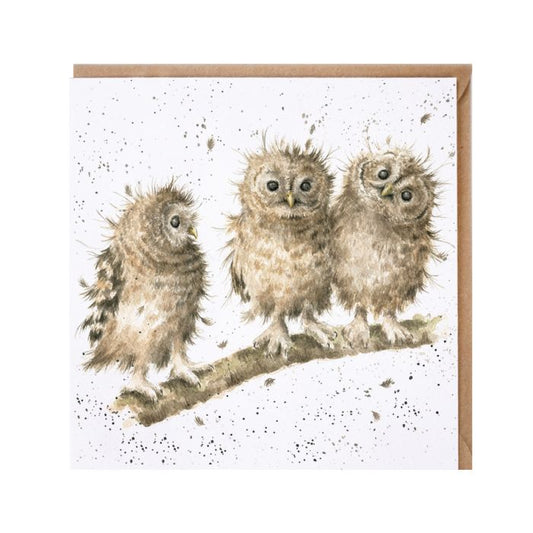 Owls “You first” card - Wrendale