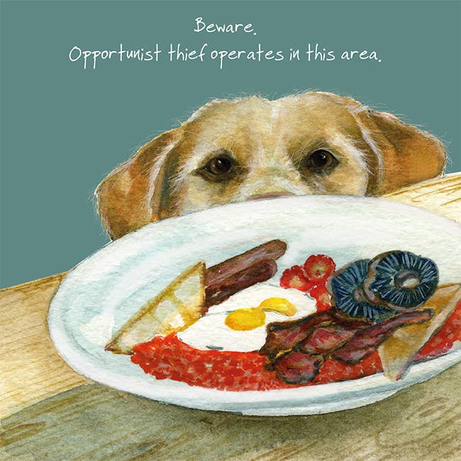 Opportunist  Thief Greeting Card