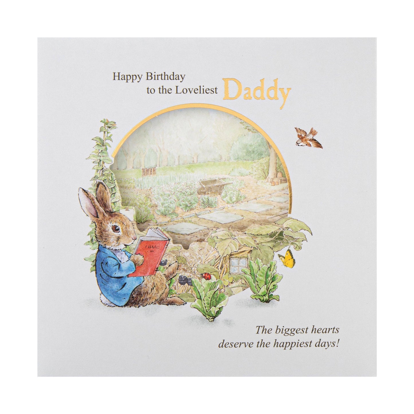 Birthday Card for Daddy - Peter Rabbit Design