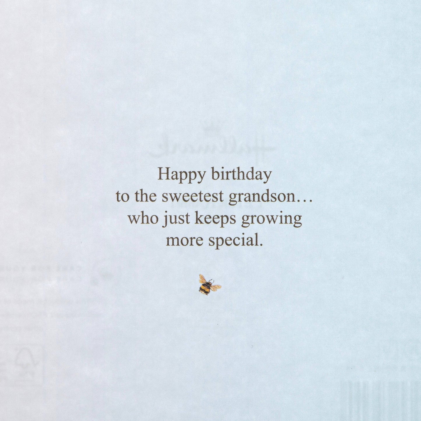 Birthday Card for Grandson - Peter Rabbit Design