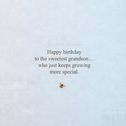 Birthday Card for Grandson - Peter Rabbit Design