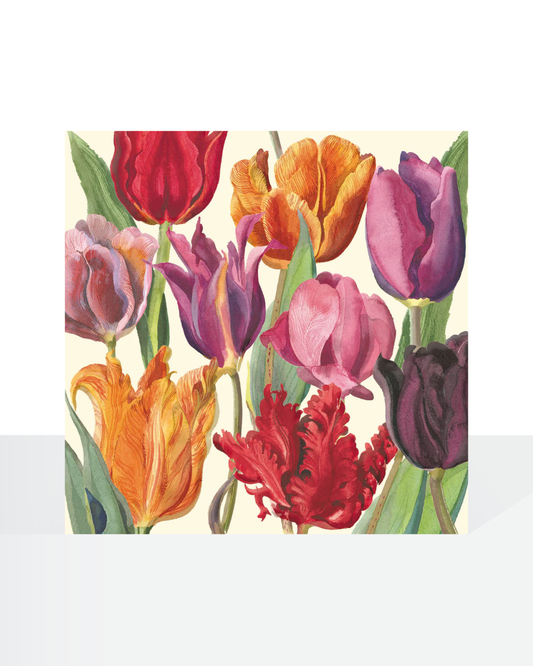 Tulips - Emma Bridgewater card