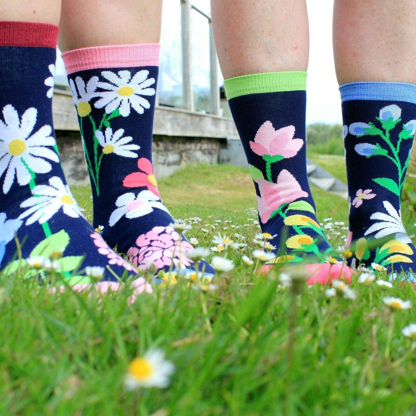 “Blooming Amazing” Oddsocks