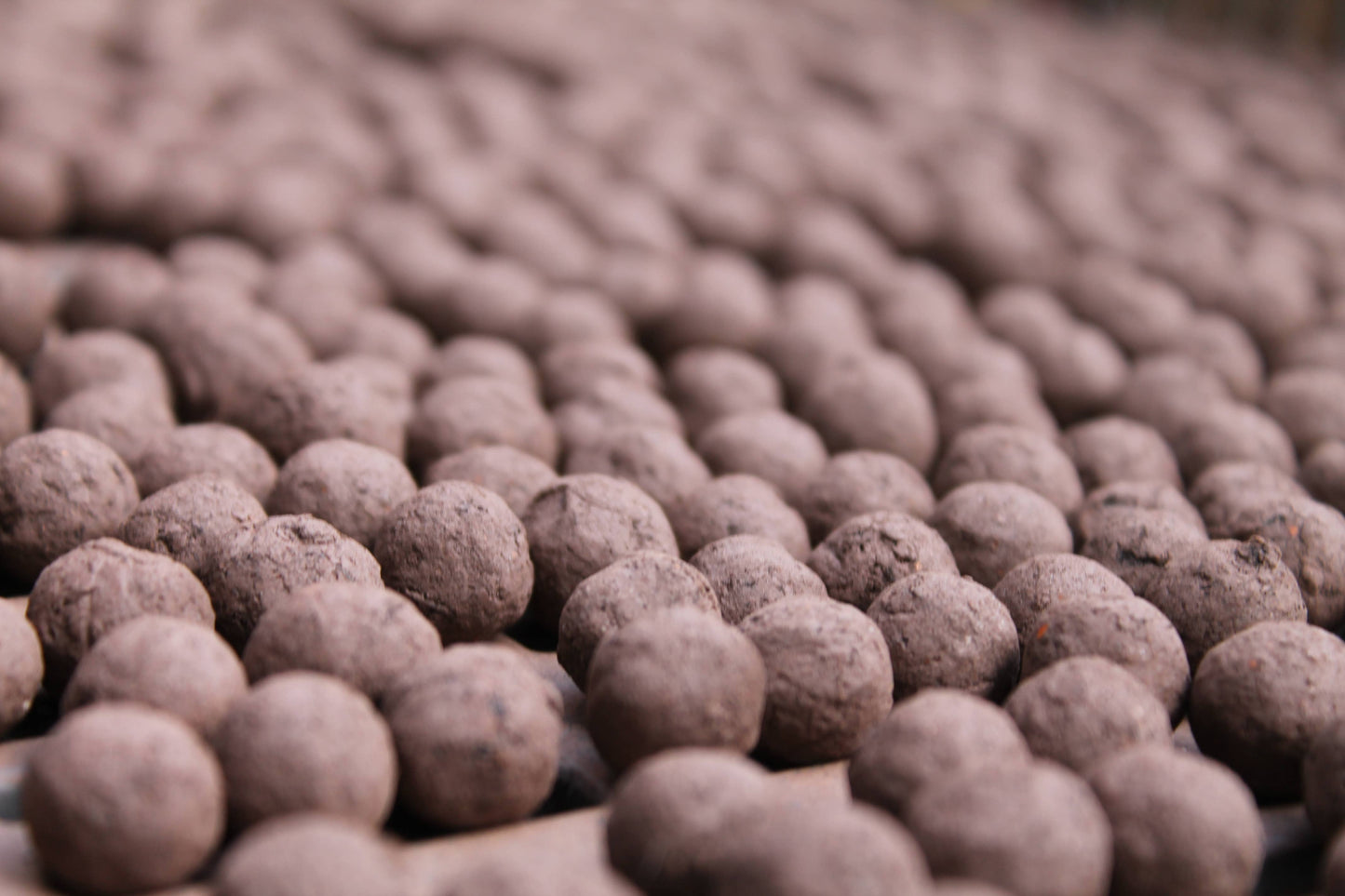 Wildflower Seedball Tubes