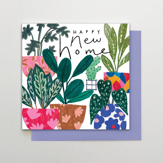 Happy New Home Plants