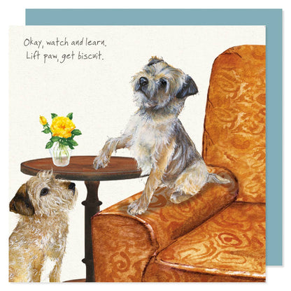 Border Terrier Dog Greeting Card