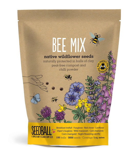 Seedball ~ BEE MIX ~ native wildflower seeds