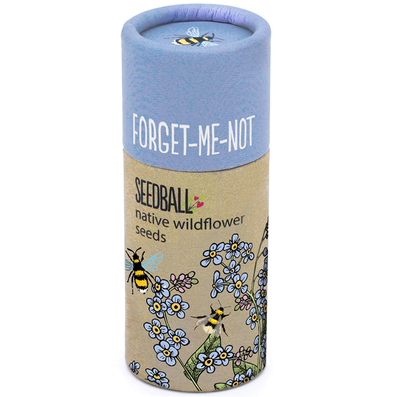 Seedball ~ FORGET-ME-NOT tube ~ native wildflower seeds