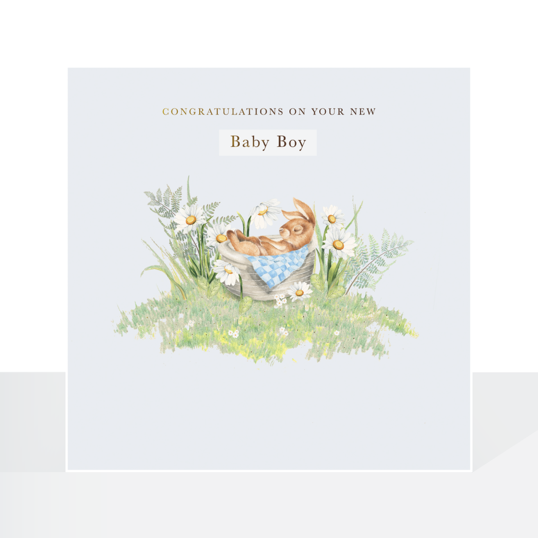 A new baby boy, bunny card