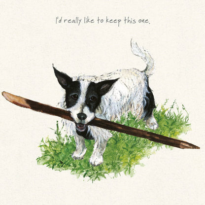 Broken-Coated Jack Russell Greeting Card