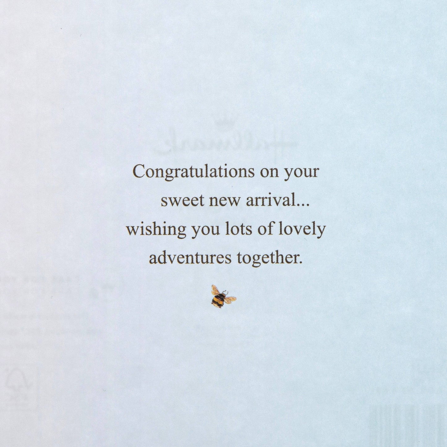 New Baby Boy Card - Beatrix Potter Peter Rabbit™ Design