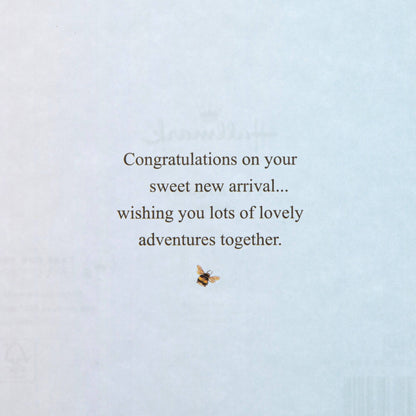 New Baby Boy Card - Beatrix Potter Peter Rabbit™ Design