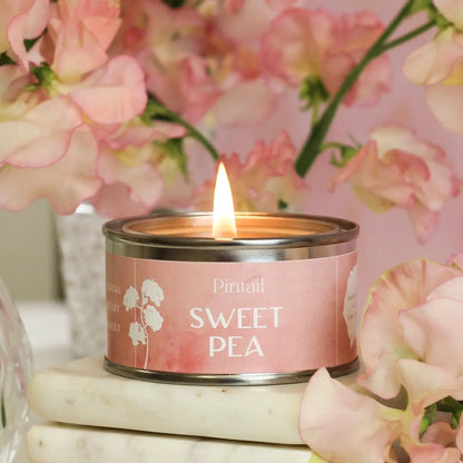 Fig + Wild Pear Paint Pot Candles | Small Candles