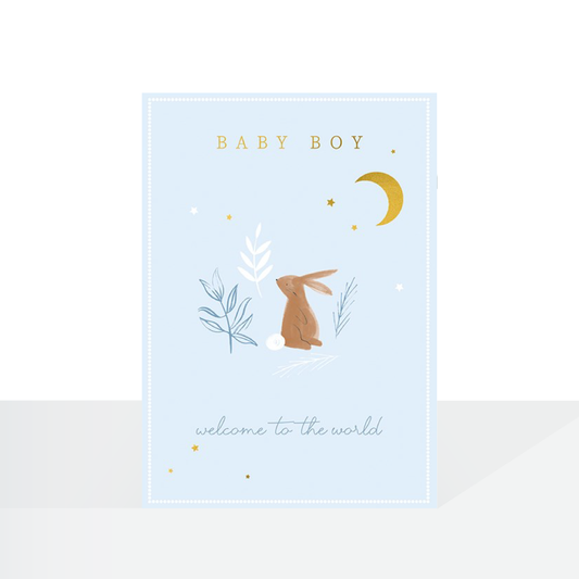 Baby boy bunny card