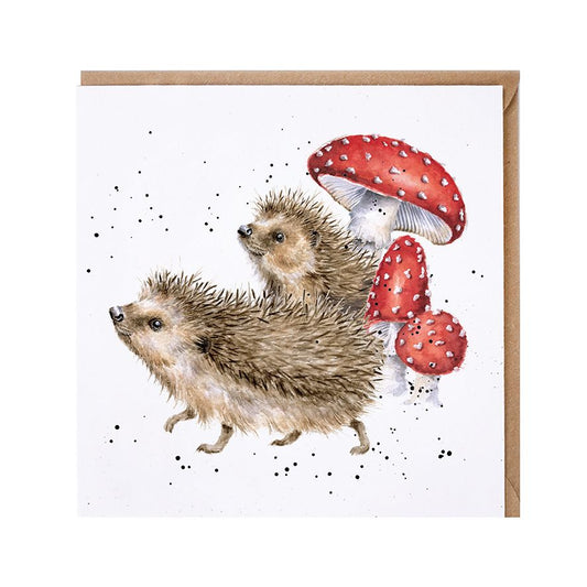 A prickly adventure, hedgehogs - card