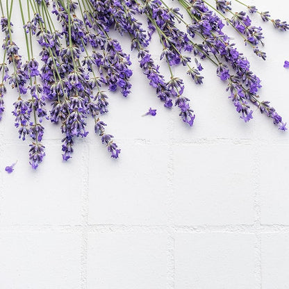 Sleep easy body wash lavender