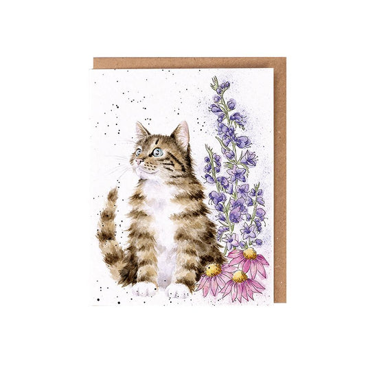 Whiskers & wild flowers, cat - seed card