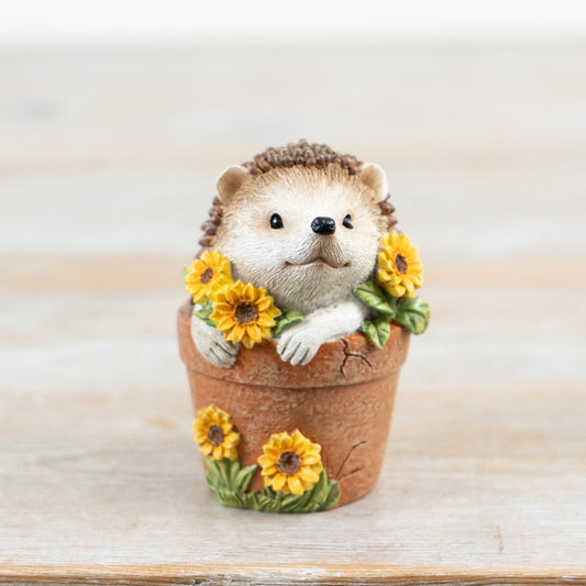 Hedgehog in plant pot with sunflowers