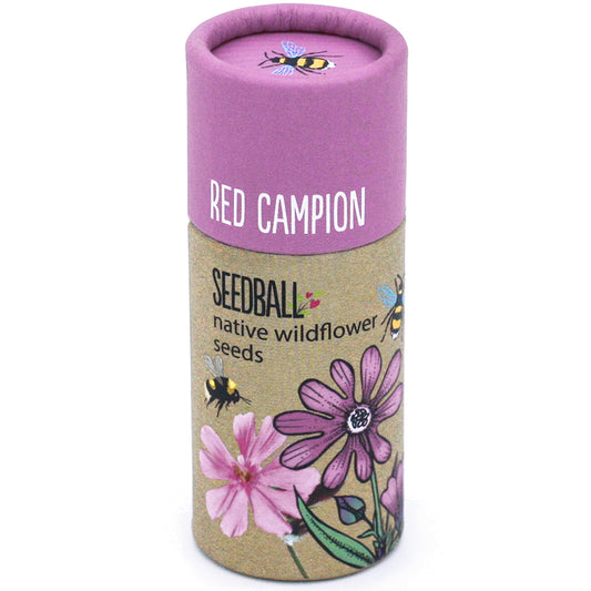 Seedball ~ RED CAMPION tube ~ native wildflower seeds