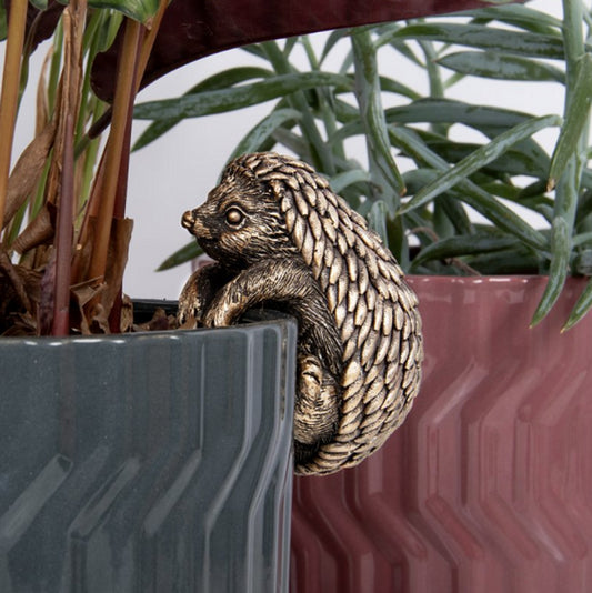 Plant pot pal - Hedgehog