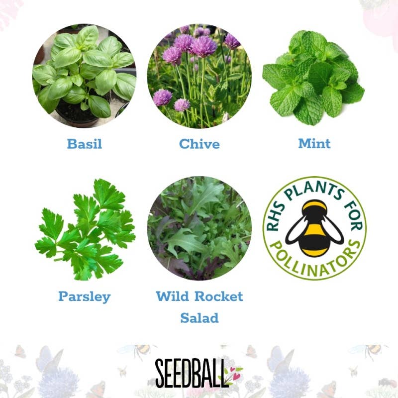Herb Seedball Tubes