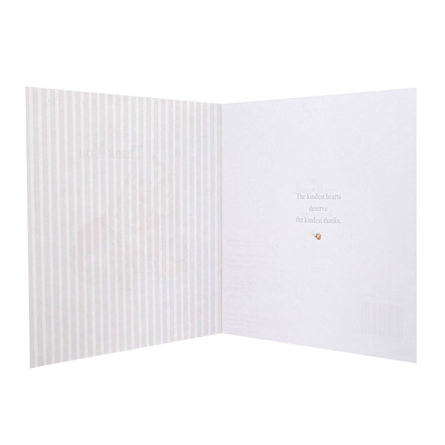 Thank You Card - Beatrix Potter's Peter Rabbit™ Design